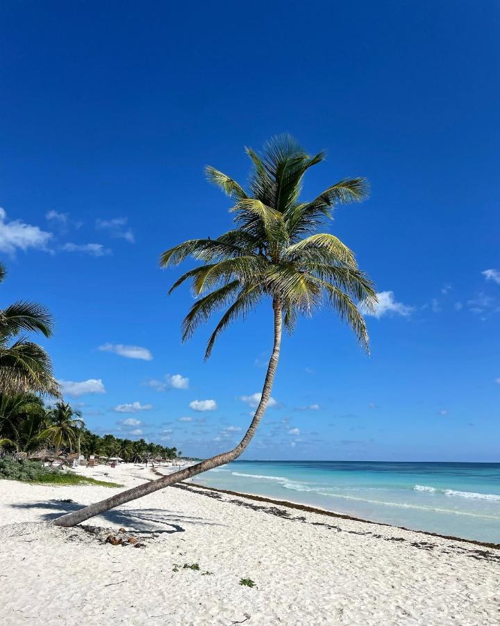 Chavez Eco Beach Camping And Cabanas Tulum Exterior foto